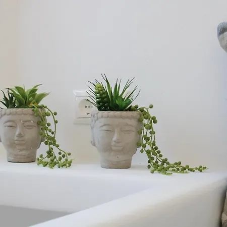 Philoxenia פלאקה